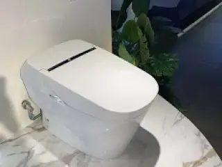 sửa nắp bồn cầu TOTO tại Thái Nguyên