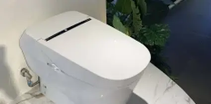 sửa nắp bồn cầu TOTO tại Thái Nguyên